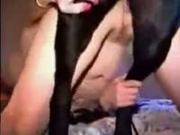 Bestiality Sex - Lucky dog goes balls unfathomable bareback in brute sex loving dark brown doxy in this beastiality flick